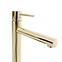 Waschbecken-Armatur hoch Rea Tess Gold,2