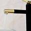 Waschbecken-Armatur hoch Rea Smart Schwarz/Gold,5