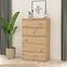 Komoda CHELSEA chlk45-d78 eiche artisan,7