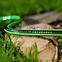 Gartenschlauch Green ATS 5 1/2 25MB 15-100,3