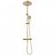 Duschset mit Thermostat Lungo Rea P4114 Gold,3