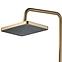 Duschset Helix Rea P6621 Gold gebürstete Oberfläche,3