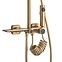 Duschset Helix Rea P6621 Gold gebürstete Oberfläche,4
