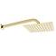 Unterputz Duschset Orix Rea P8464 Gold,3