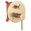 Unterputz Duschset Lungo Rea P4160 Gold gebürstete Oberfläche,4