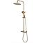 Duschset mit Thermostat Vincent Rea P6602 Gold gebürstete Oberfläche