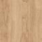 Carvalho Brown 19,5/120,3
