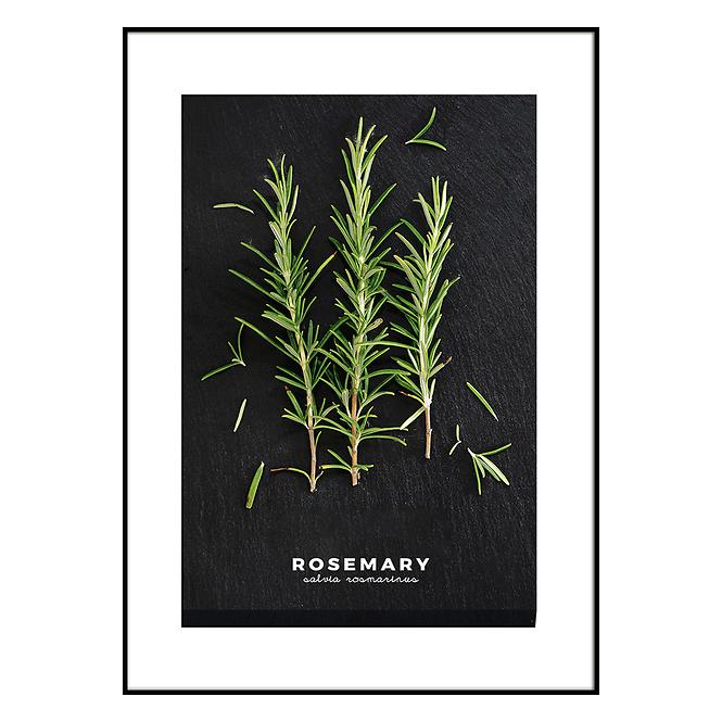 Bild Artbox 50x70 AB181 Rosemary OB-14443