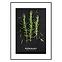 Bild Artbox 50x70 AB181 Rosemary OB-14443