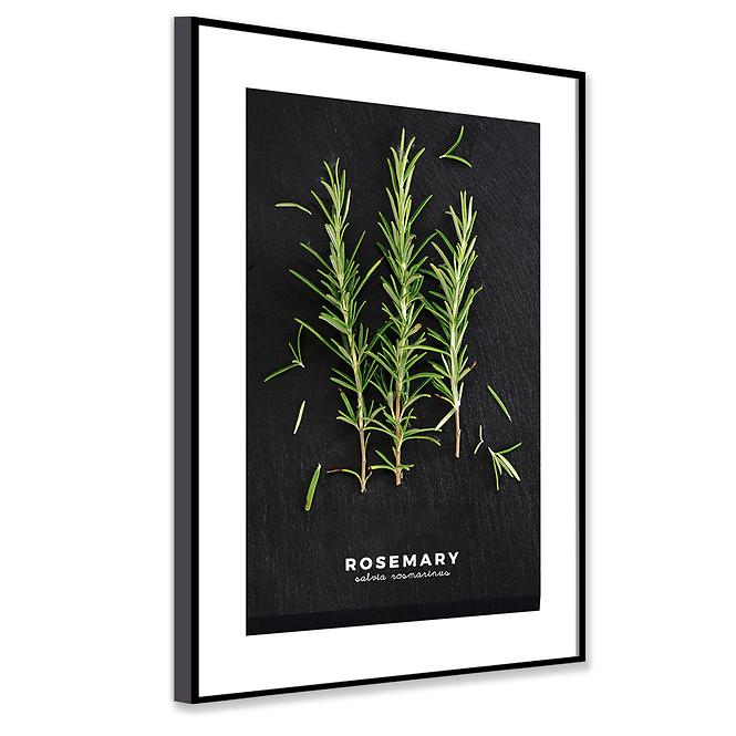 Bild Artbox 50x70 AB181 Rosemary OB-14443