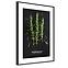 Bild Artbox 50x70 AB181 Rosemary OB-14443,2