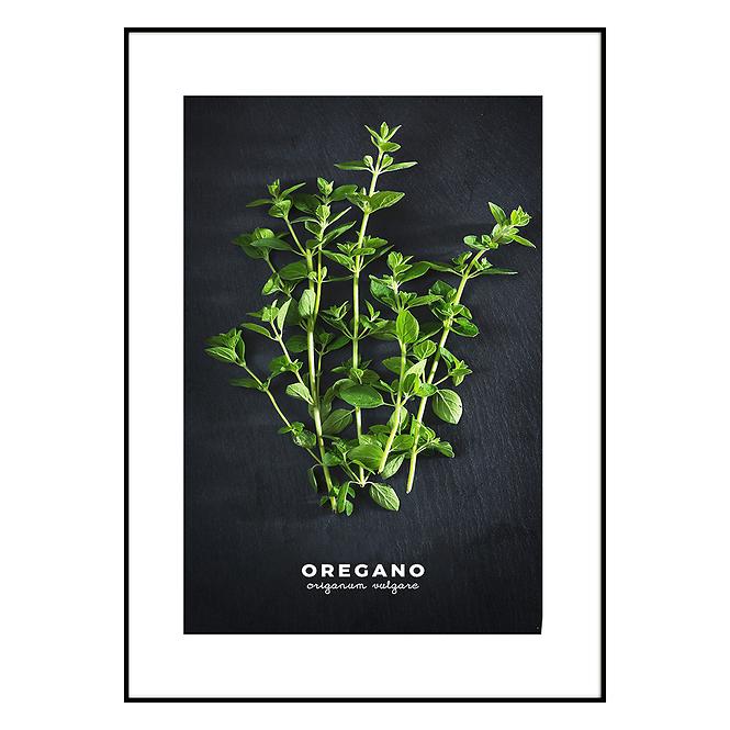 Bild Artbox 50x70 AB182 Oregano OB-14442