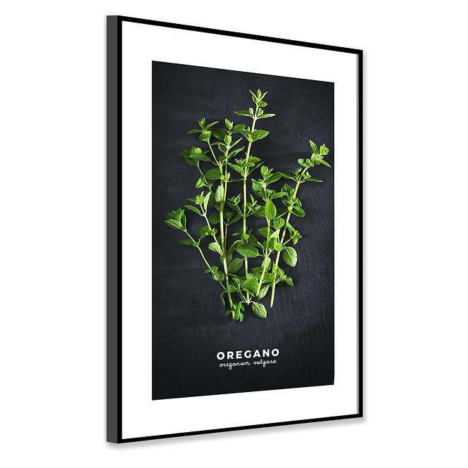 Bild Artbox 50x70 AB182 Oregano OB-14442