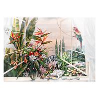 Bild Canvas 60x80 ST659 Green Window CA-13936