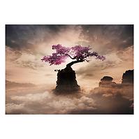 Bild Canvas 60x80 ST662 Sakura Tree CA-13939