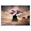 Bild Canvas 60x80 ST662 Sakura Tree CA-13939