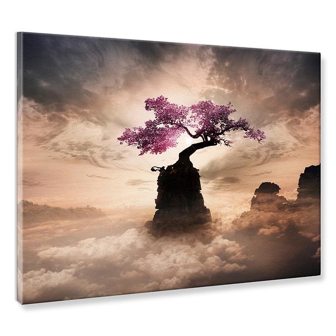 Bild Canvas 60x80 ST662 Sakura Tree CA-13939