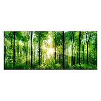 Bild Glas Nature 50x125 EX121 Sunlight