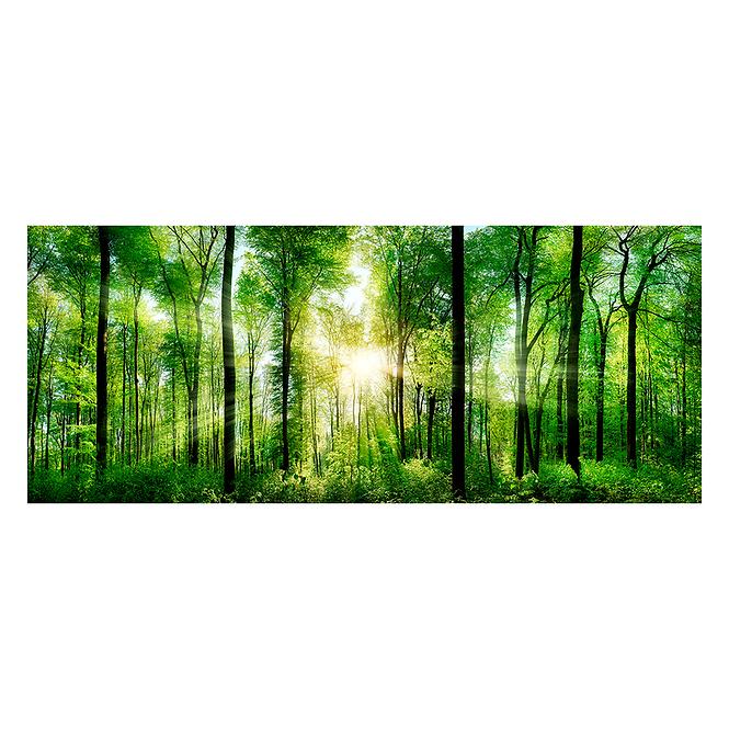 Bild Glas Nature 50x125 EX121 Sunlight