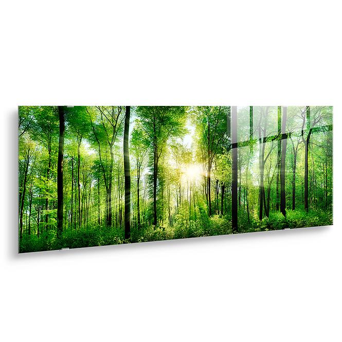 Bild Glas Nature 50x125 EX121 Sunlight