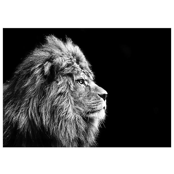 Bild Glasspik Animals 70x100 GL104 Lion