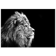 Bild Glasspik Animals 70x100 GL104 Lion