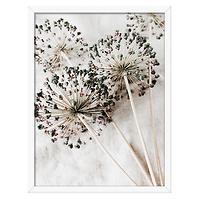 Bild Modernpik 30x40 FR338 Pure OB-14425