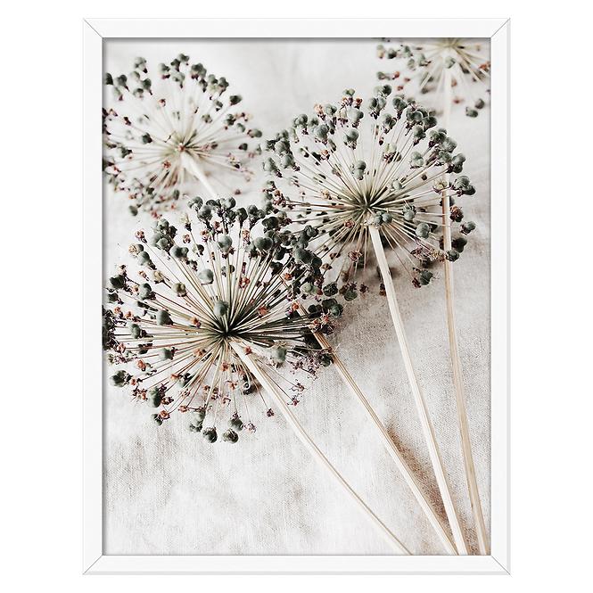 Bild Modernpik 30x40 FR338 Pure OB-14425