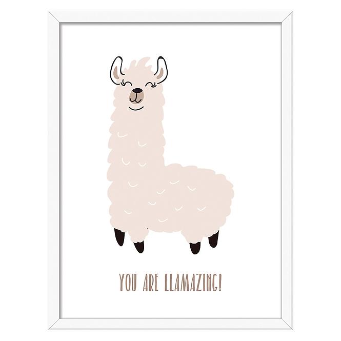 Bild Modernpik 30x40 FR360 Llama OB-14422