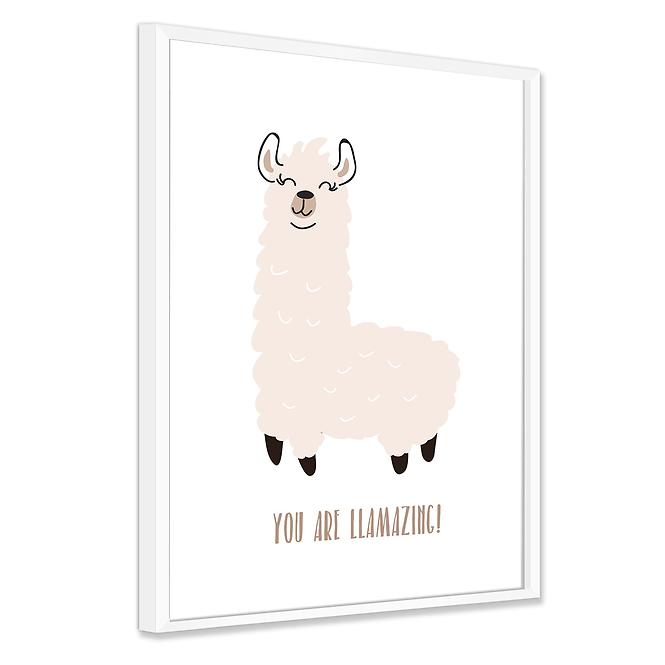 Bild Modernpik 30x40 FR360 Llama OB-14422