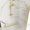 Duschwand Walk-in Cortis Rea K8485 120x200 gold,2