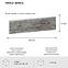Betonstein Tavola Bianco Pack.=0,38 m2,5