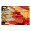Bild G-G29205-1C 120x80x3,5,3