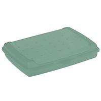 Jausenbox Click-Box Mini Nordic Green 17x13x3,5 0,5 l