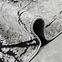 Teppich Frisee Apollo 1,2/1,7 2008 345,4