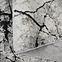 Teppich Frisee Apollo 1,2/1,7 2008 345,5