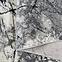 Teppich Frisee Apollo 1,2/1,7 2047 345,5
