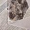 Teppich Frisee Victoria 1,2/1,7 8057 454,5