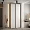 Schrank 45 Canaris 1 110 artisan/weiß/silver,5