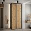 Schrank 45 Canaris 1 110 schwarz/artisan/silver,5