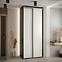 Schrank 45 Canaris 1 110 schwarz/weiß/silver,5