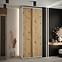 Schrank 45 Canaris 1 120 weiß/artisan/silver,5