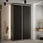 Schrank 45 Canaris 1 130 schwarz/silver,5
