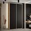 Schrank 45 Canaris 1 140 artisan/schwarz/silver,5