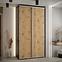 Schrank 45 Canaris 1 140 schwarz/artisan/silver,5