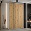 Schrank 45 Canaris 1 160 weiß/artisan/silver,5