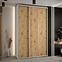 Schrank 45 Canaris 1 170 weiß/artisan/silver,5