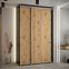 Schrank 45 Canaris 1 170 schwarz/artisan/silver,5