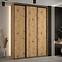 Schrank 45 Canaris 1 180 artisan/schwarz,5