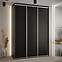 Schrank 45 Canaris 1 180 schwarz/silver,5